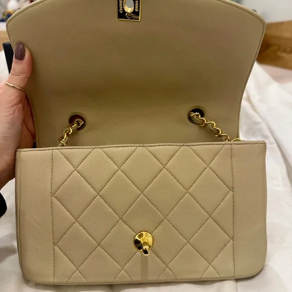 CHANEL Small Diana Beige Shoulder Bag - Picture 7 of 12